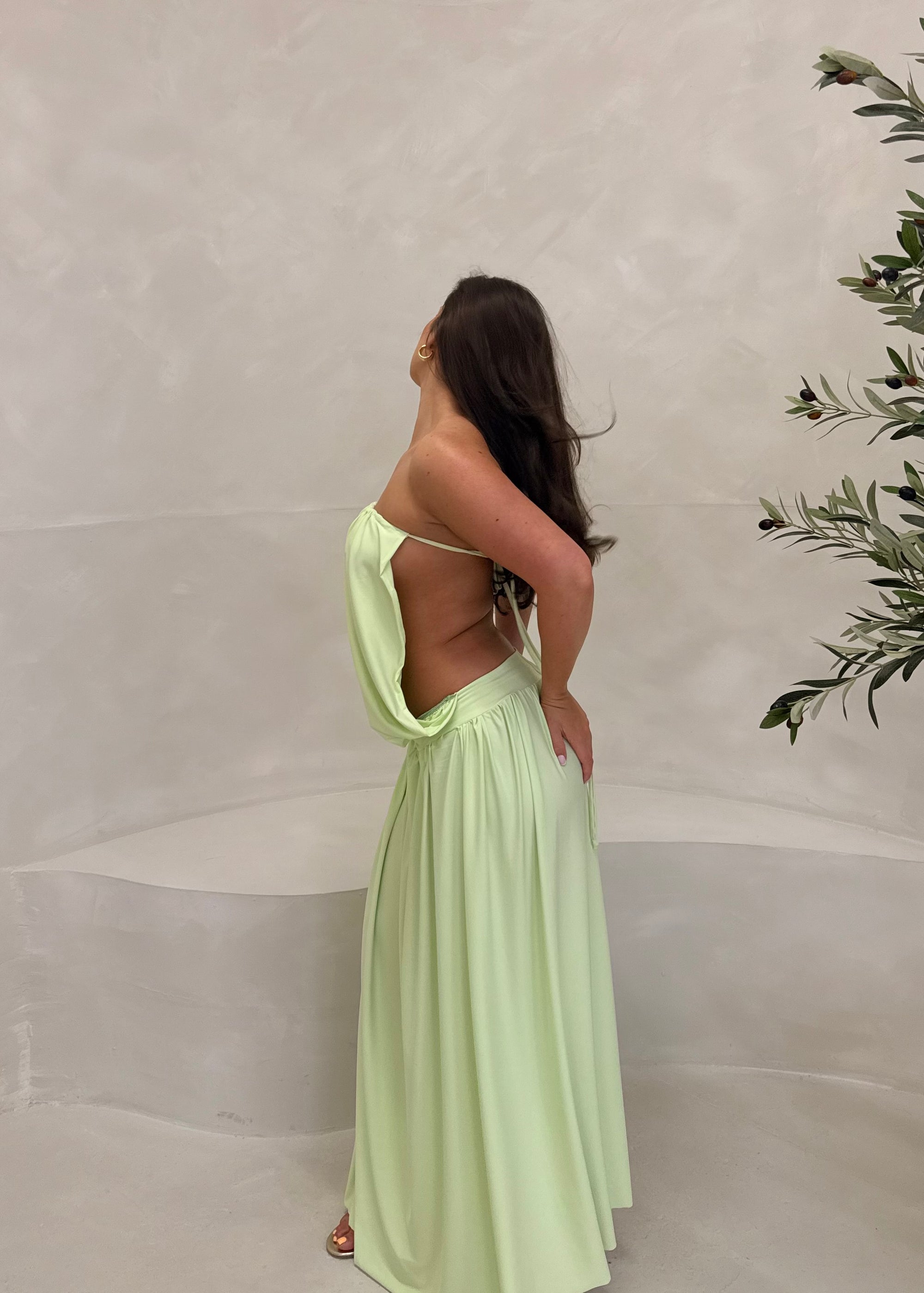 ALOE Dress